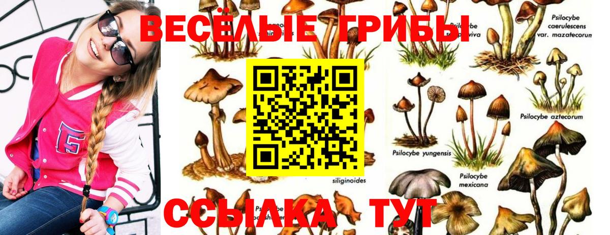 Галлюциногенные грибы Magic Shrooms  Галлюциногенные грибы мицелий  Миллерово  Вход с VPN 